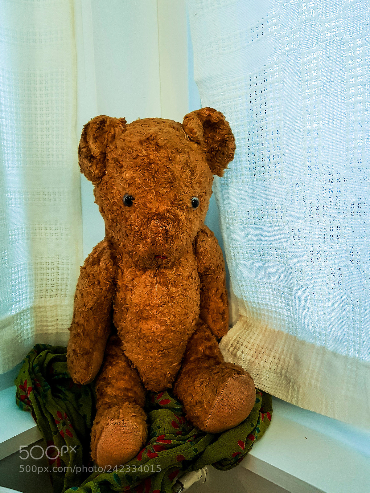 Samsung Galaxy S8 sample photo. Teddy bear is moving photography