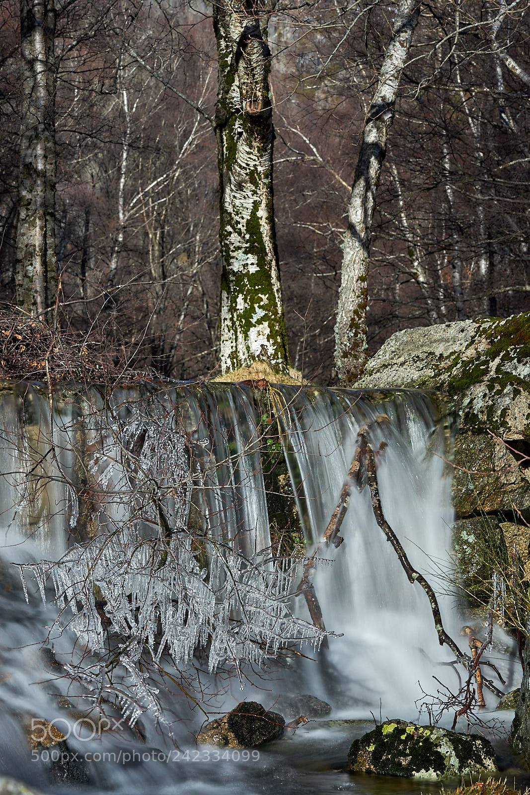 Sony a7 II sample photo. Cascades photography