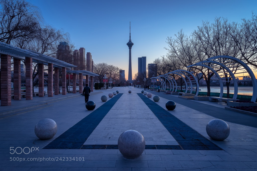 Canon EOS 6D Mark II sample photo. Blue photography