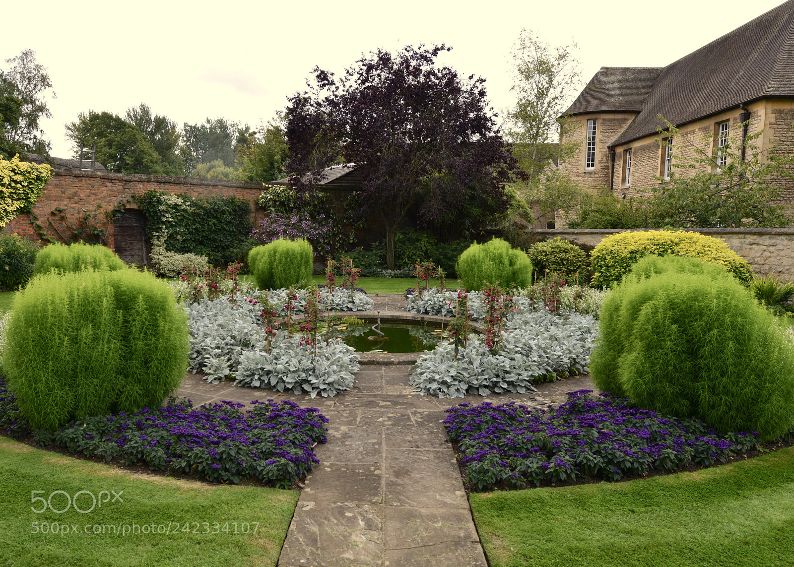 Nikon D800 sample photo. Christ church back garden photography