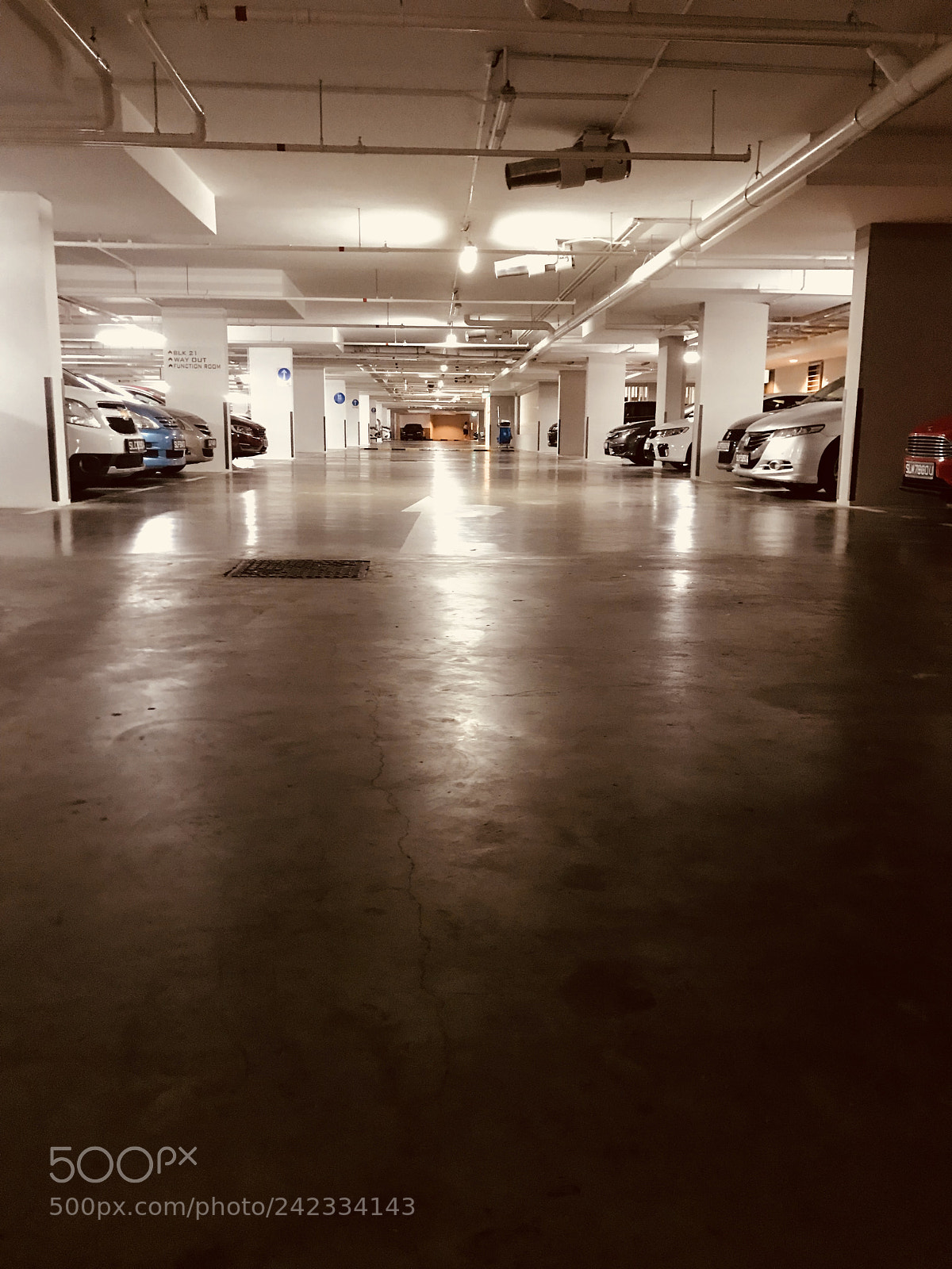 Apple iPhone 7 Plus sample photo. Untitled photography