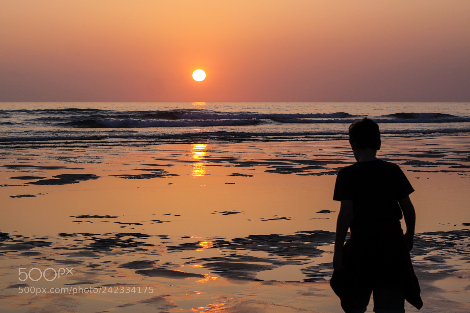 Canon EOS 50D sample photo. My favourite, my sunset ? photography