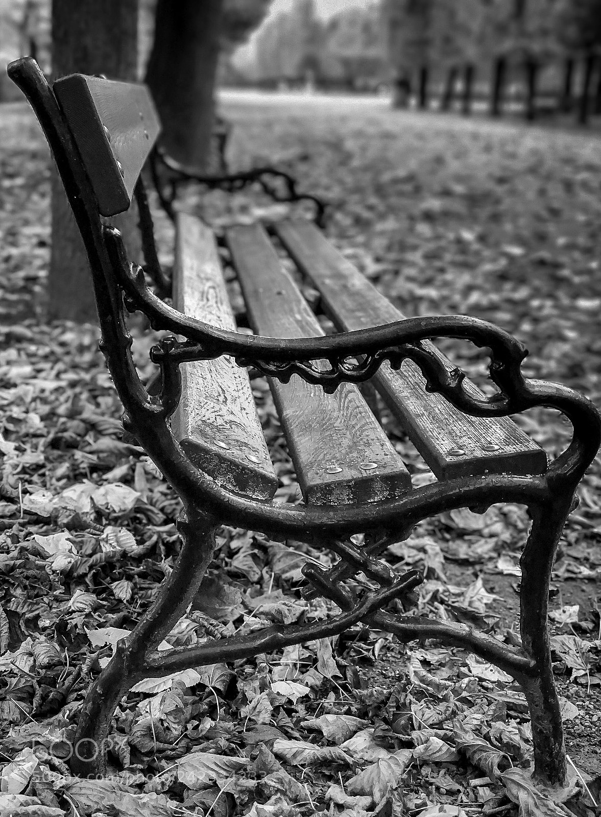 Apple iPhone 7 Plus sample photo. A black and white photography