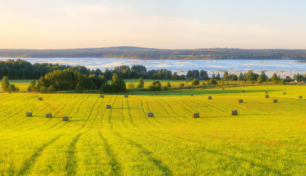 Лавандовые поля во франции. 2 для farming simulator 2017. Бесконечное зеленое поле. Тоскана италия. Xlfarms v1.