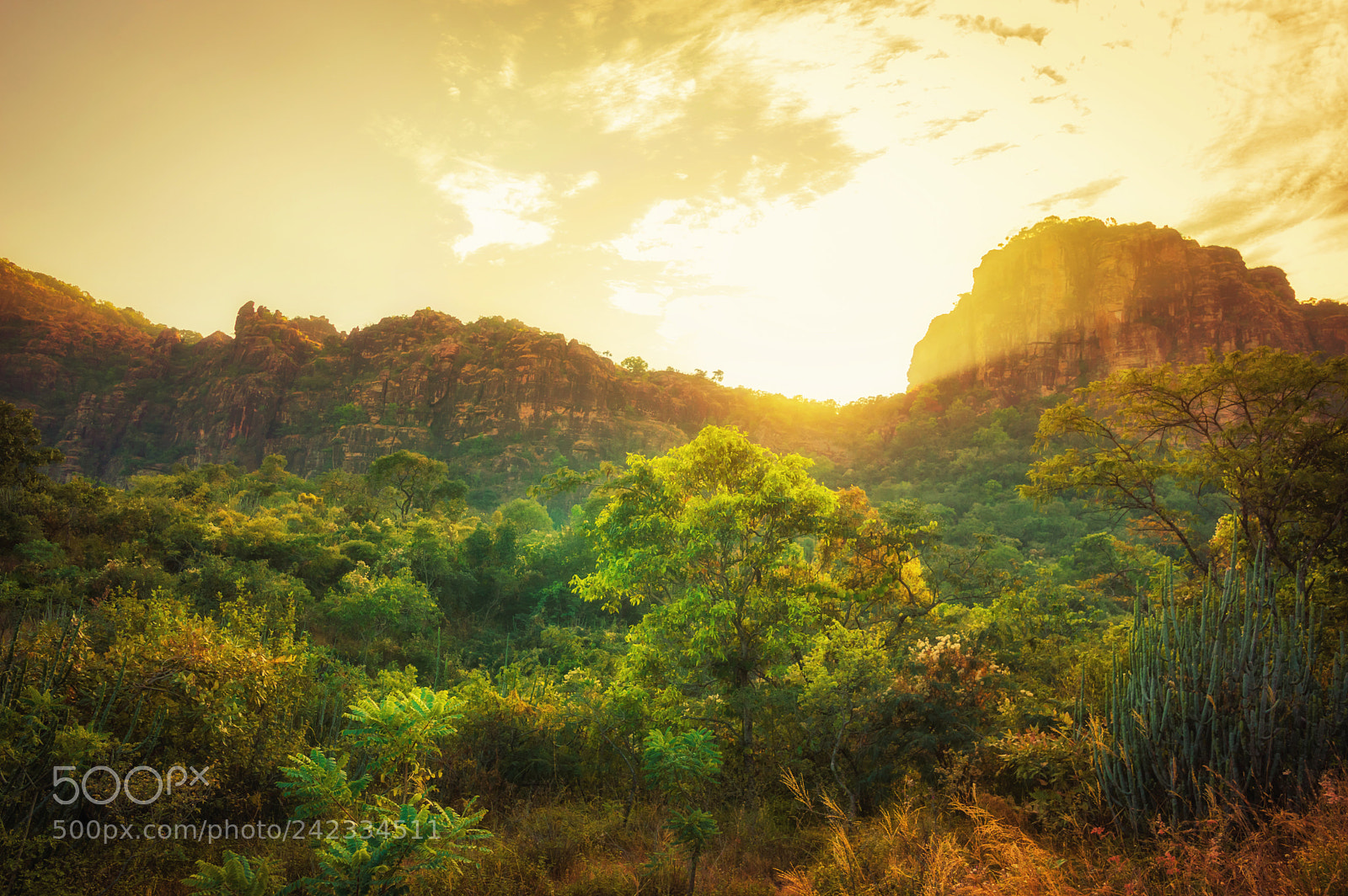 Nikon D3200 sample photo. Sunrays | pachmarhi photography