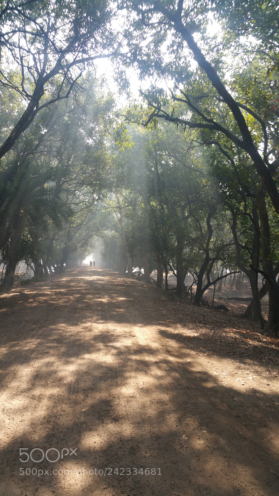 Samsung Galaxy Note4 sample photo. Ray of light photography