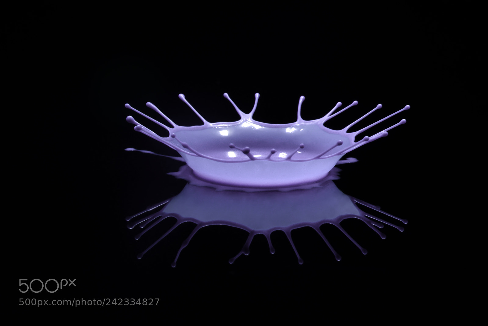 Nikon D800E sample photo. Purple crown - liquid photography
