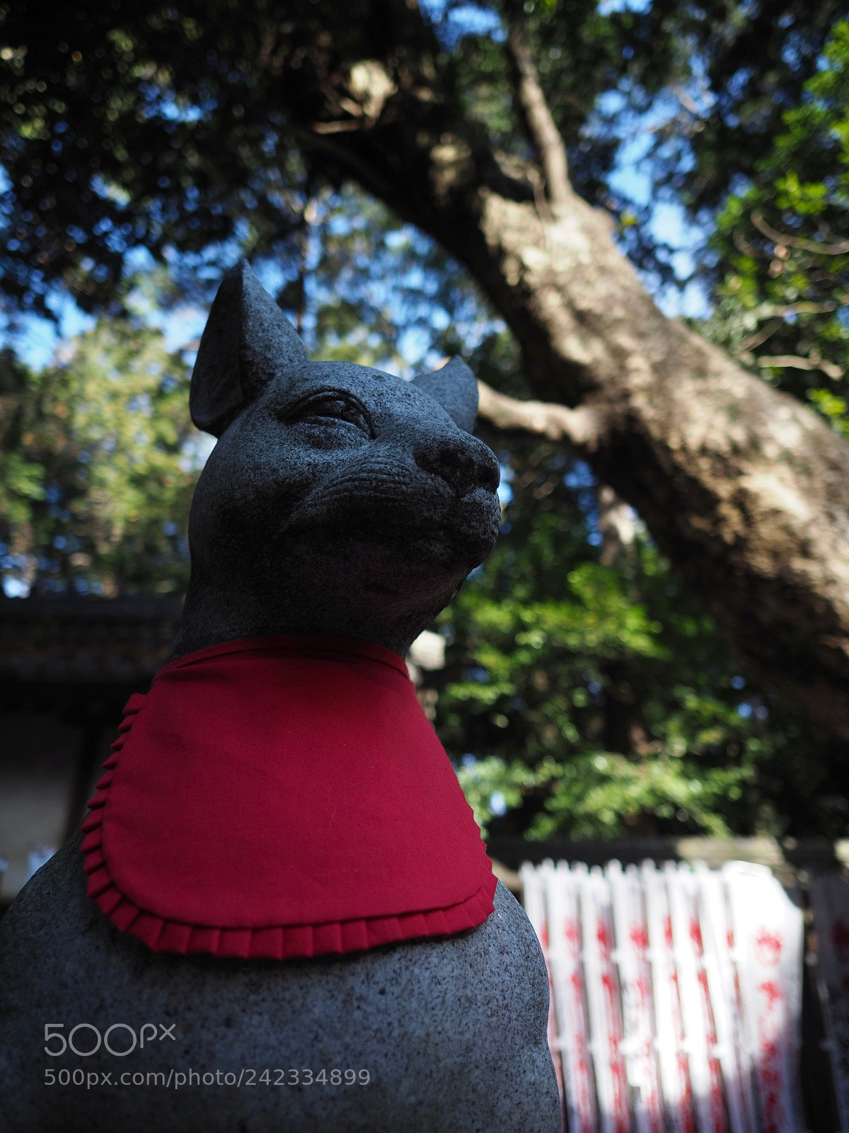 Olympus OM-D E-M1 Mark II sample photo. お稲荷様 | inari photography