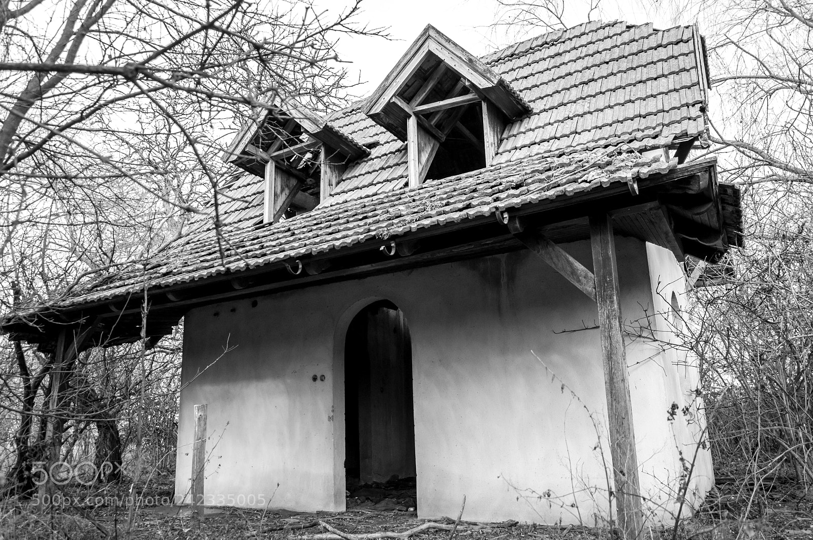 Nikon D90 sample photo. Abandoned 2 photography