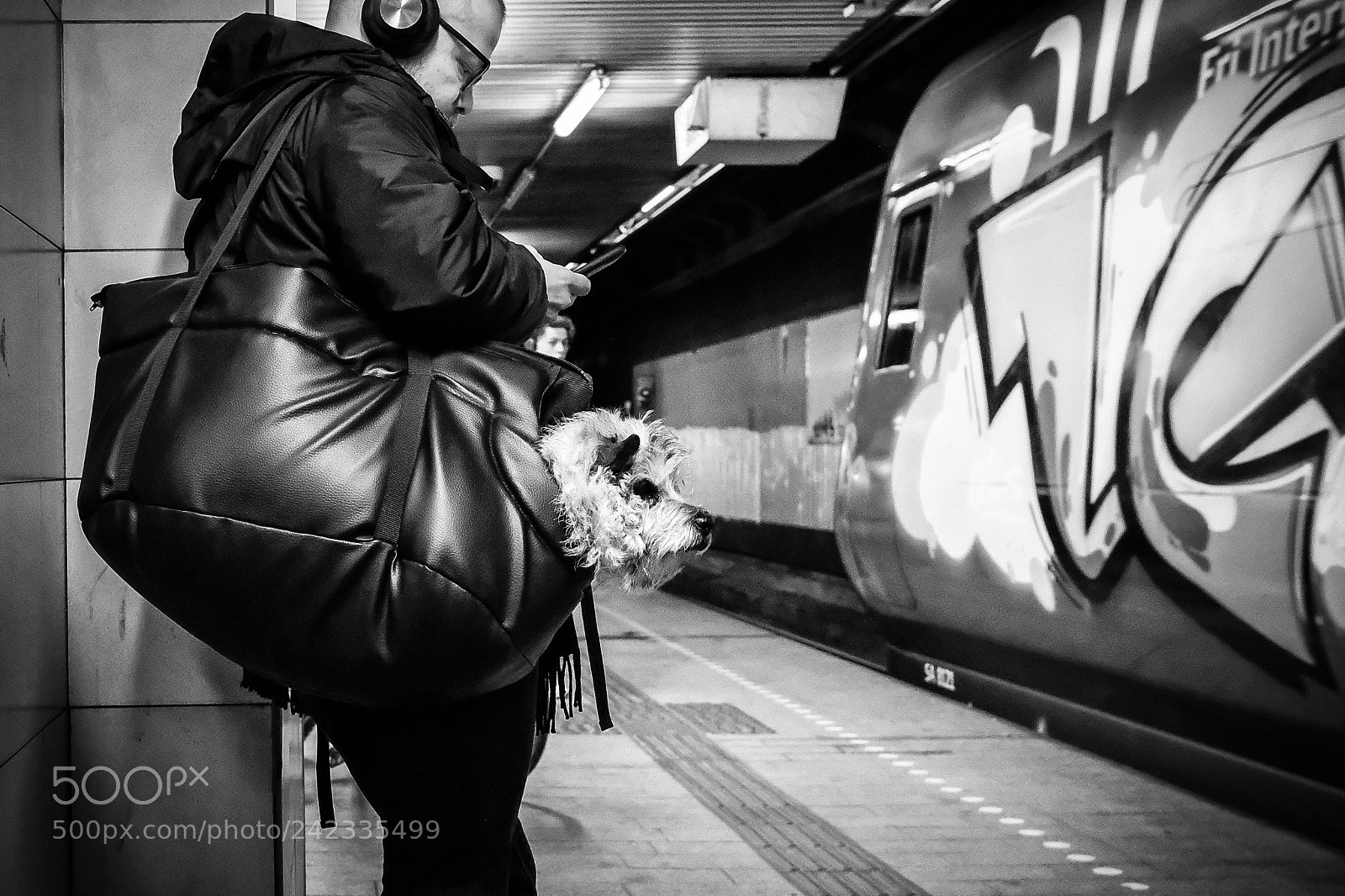 Fujifilm X-Pro2 sample photo. Images on the run photography