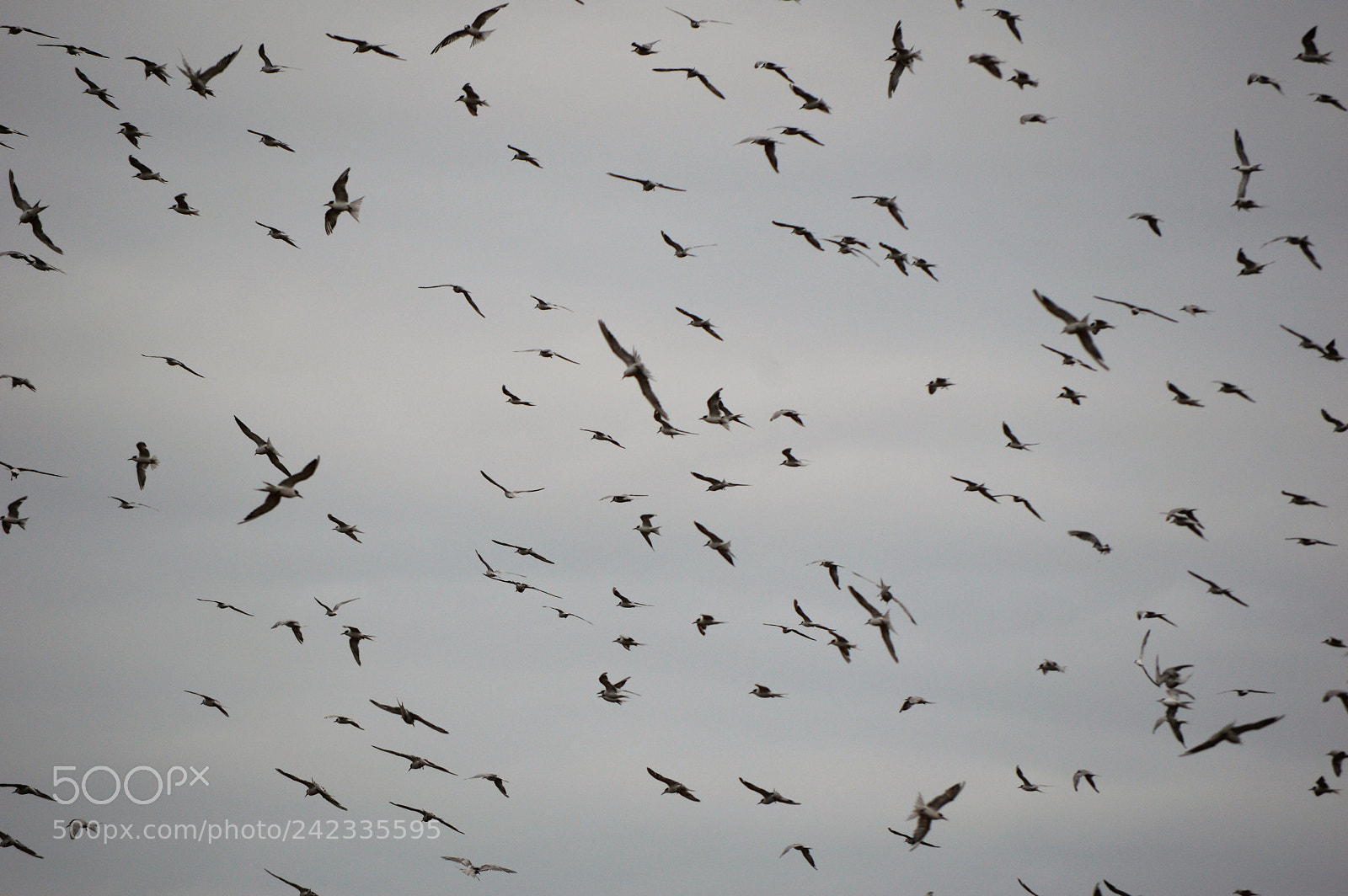 Nikon D3200 sample photo. () photography
