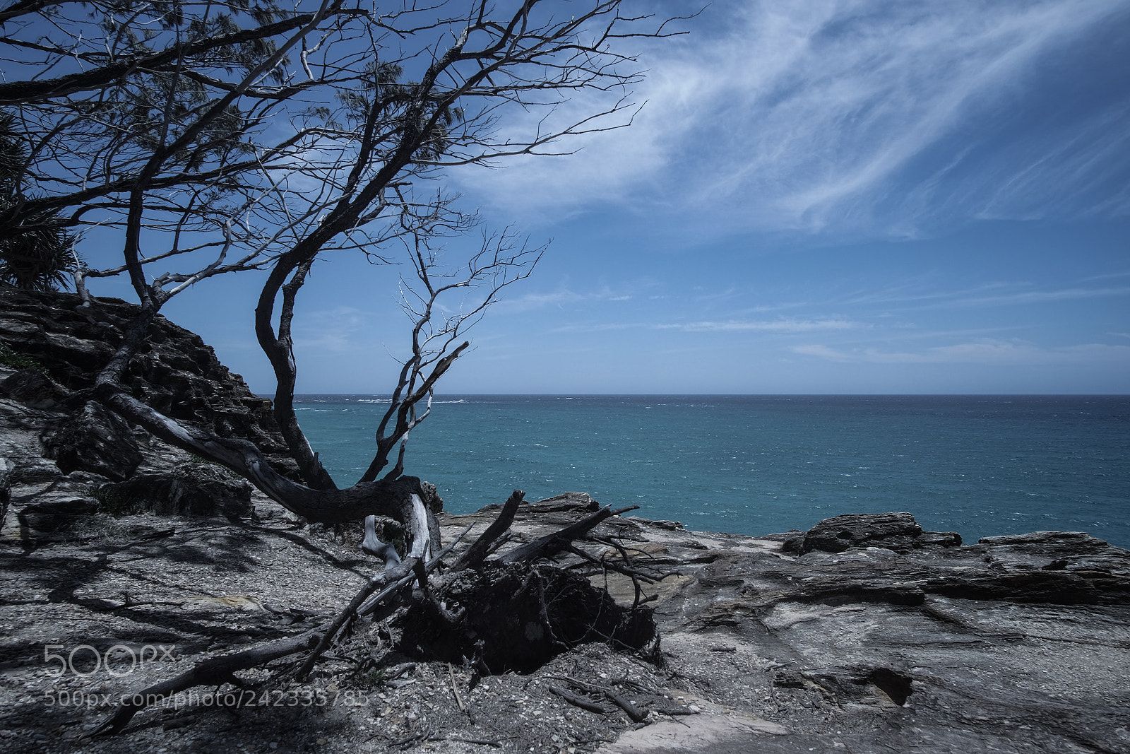Fujifilm X-T1 sample photo. Stradbroke island photography