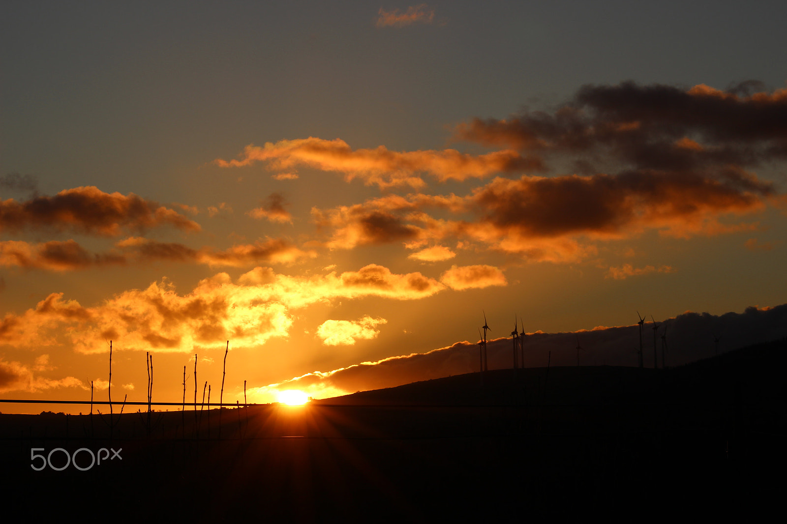 Sigma 70-300mm F4-5.6 APO DG Macro sample photo. Orange sundown photography