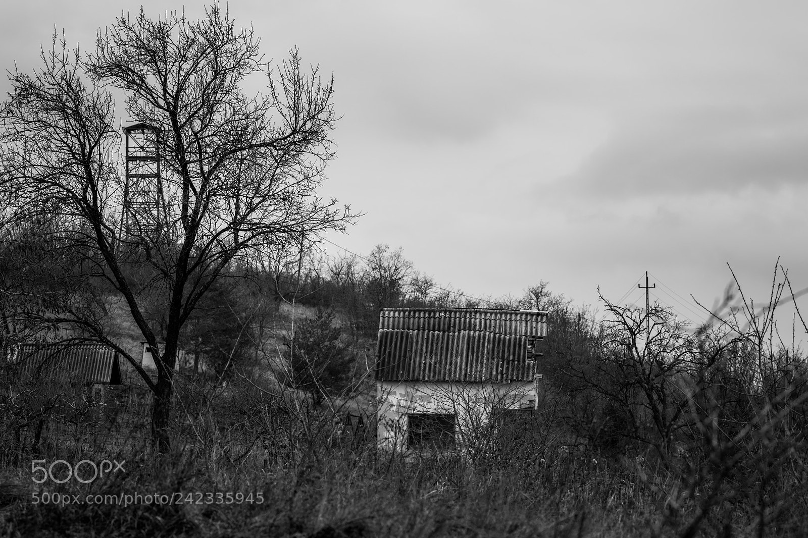 Nikon D850 sample photo. Abandoned world photography