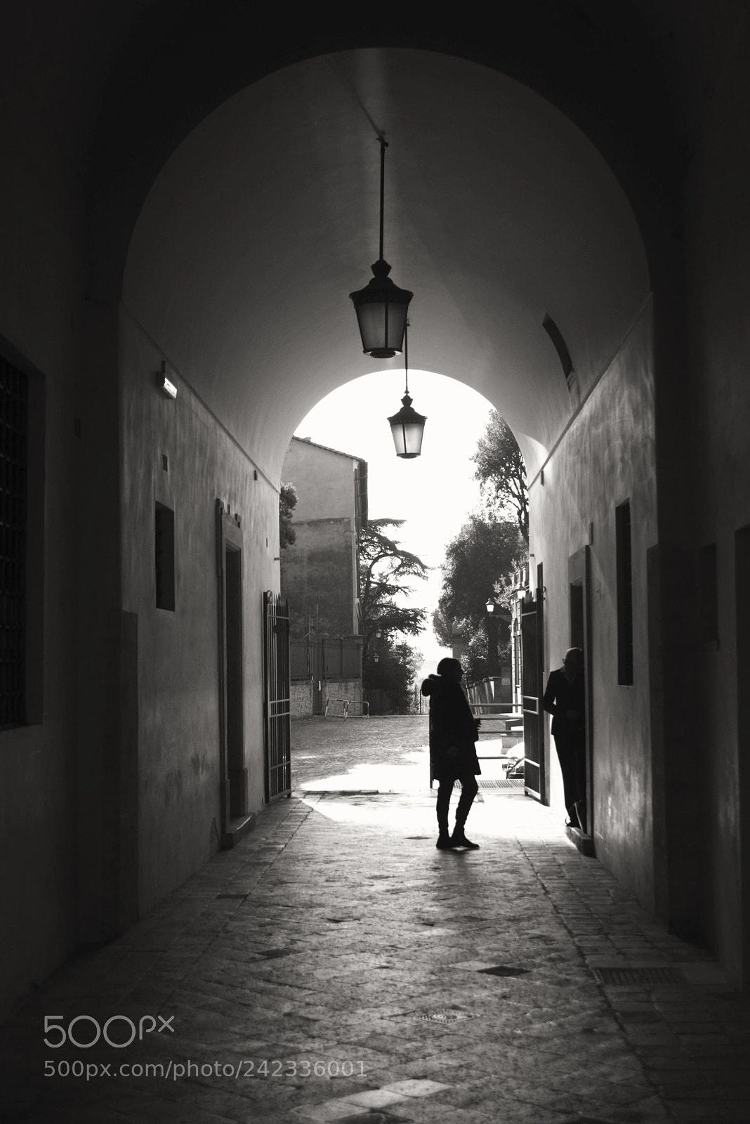 Nikon D600 sample photo. The light shines in photography