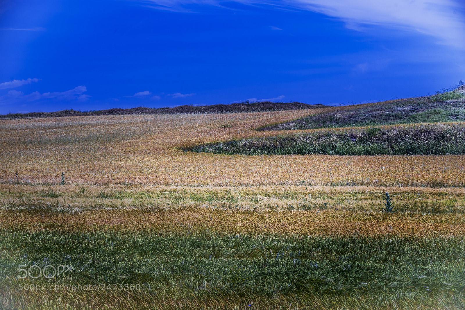 Nikon D810 sample photo. Carretera campo criptana photography