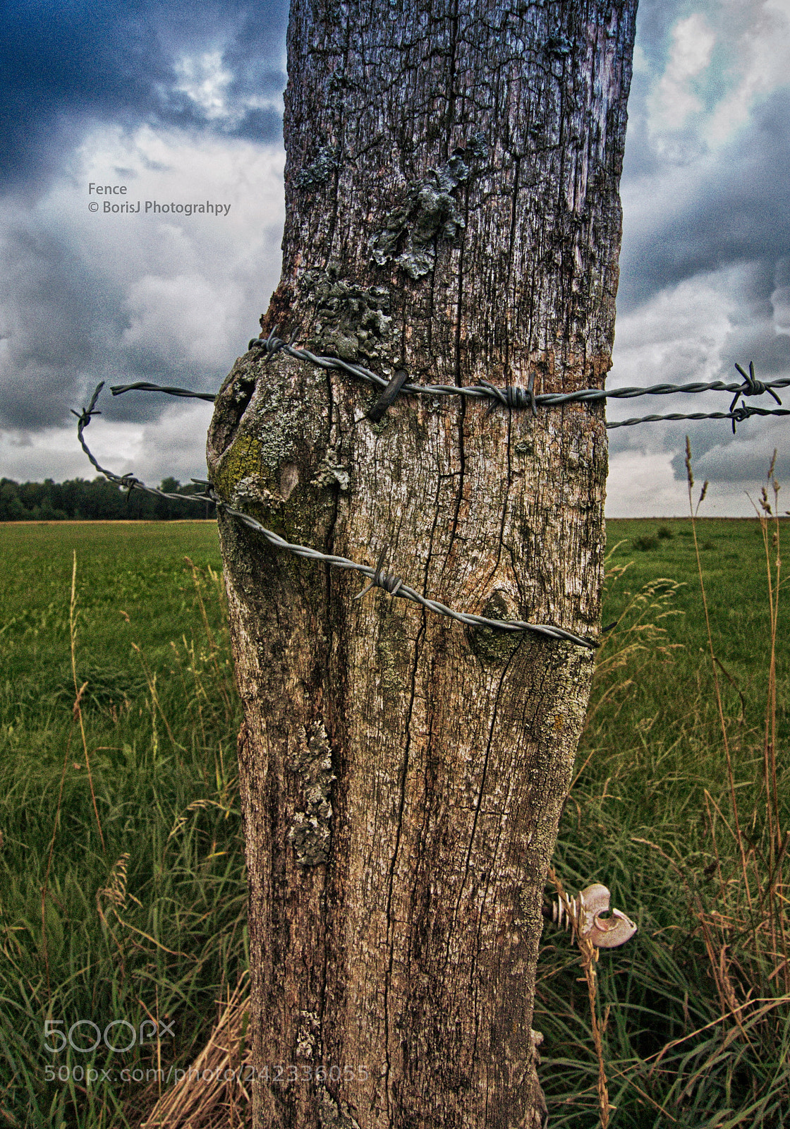 Panasonic Lumix DMC-LX3 sample photo. Fence photography