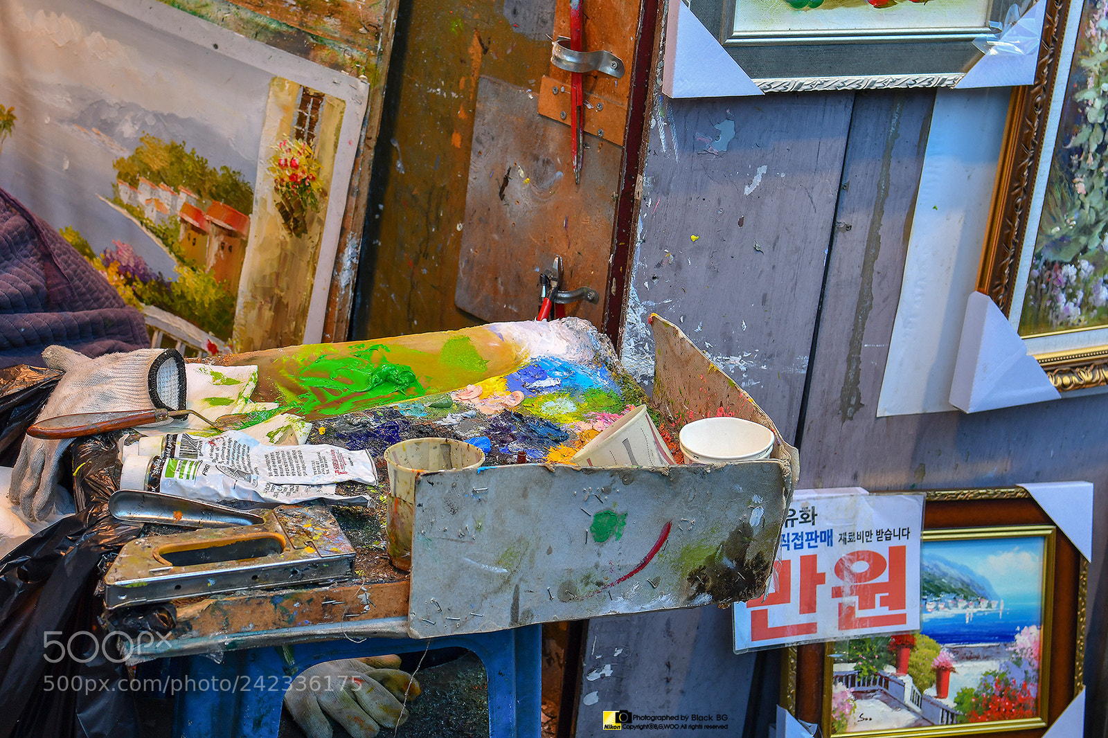 Nikon D500 sample photo. 유화 photography
