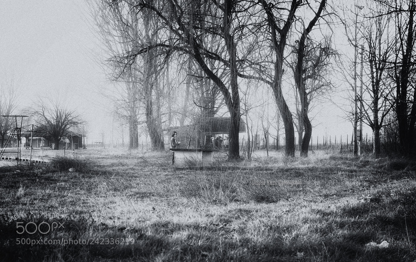 Nikon D7100 sample photo. Maša and trees photography