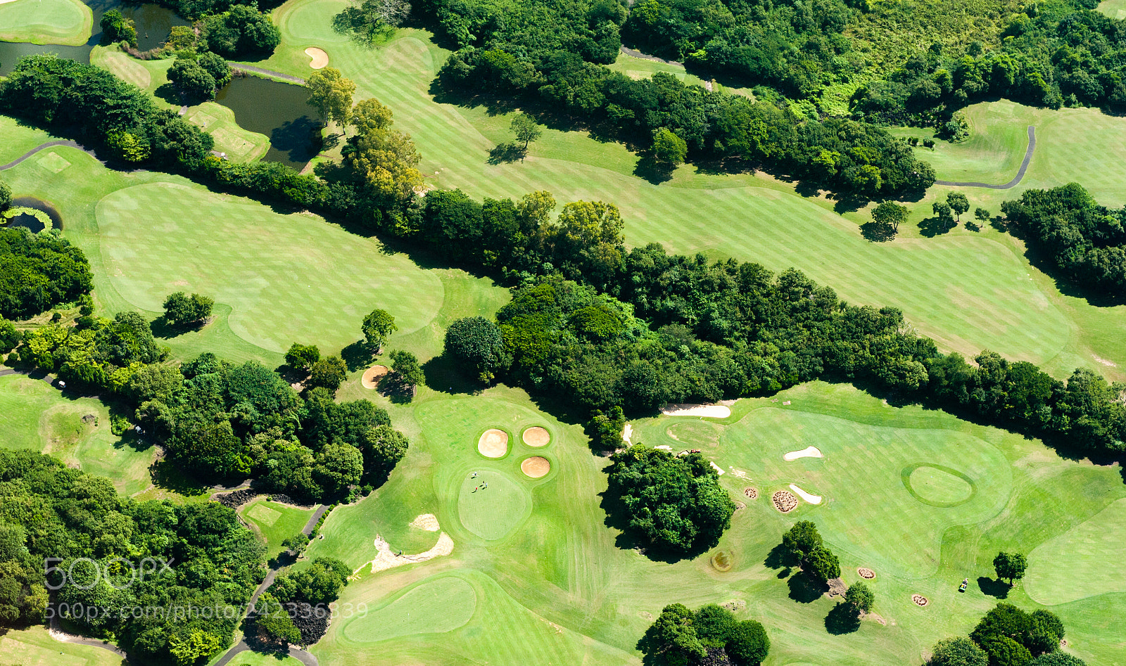 Nikon D700 sample photo. Aerial 005 photography