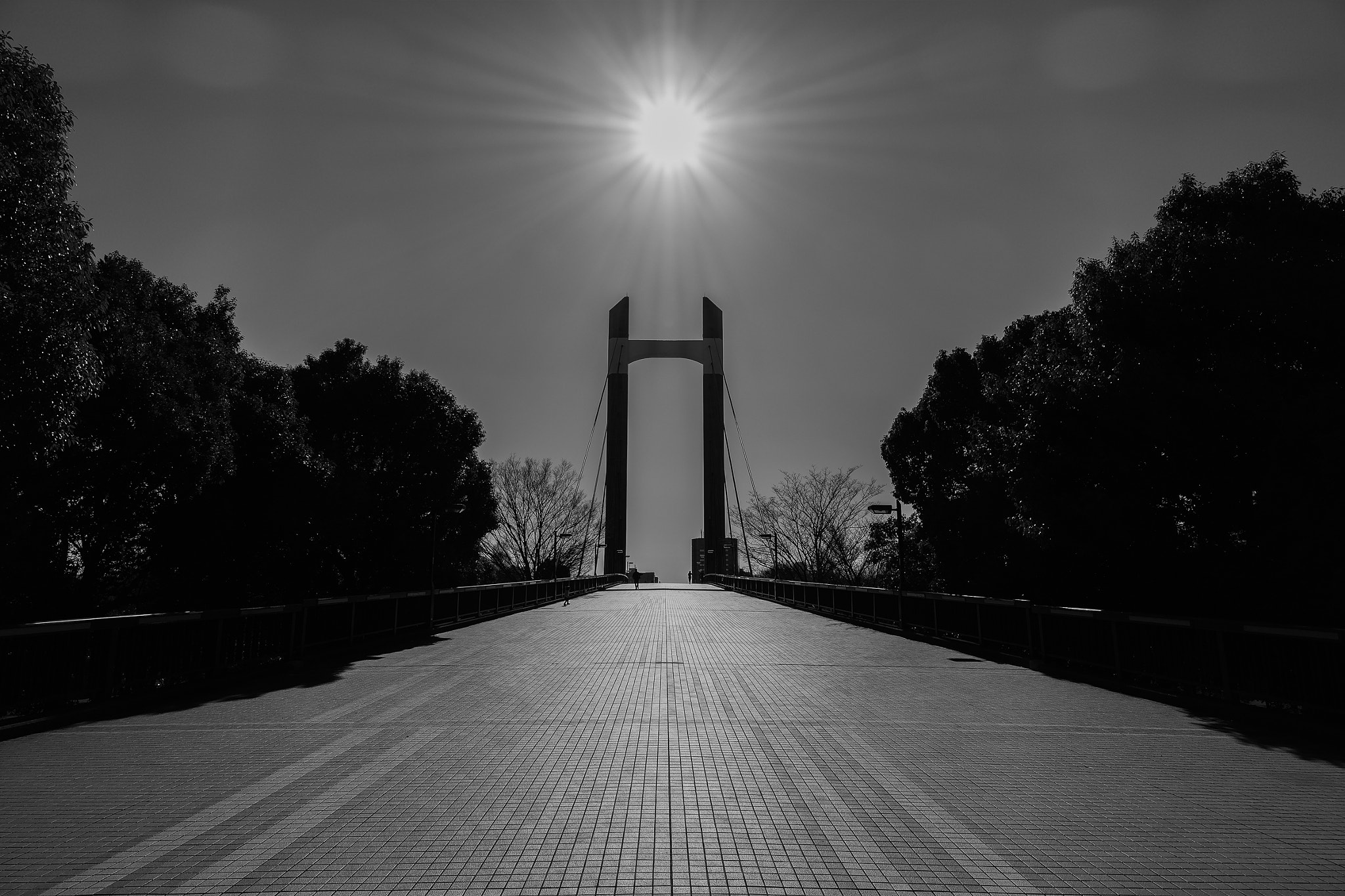 Sigma dp0 Quattro sample photo. Kiba park bridge photography