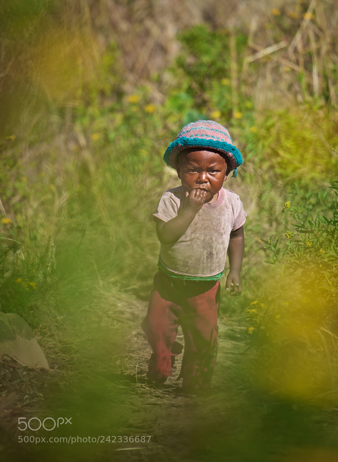 Nikon D800 sample photo. Flower child photography