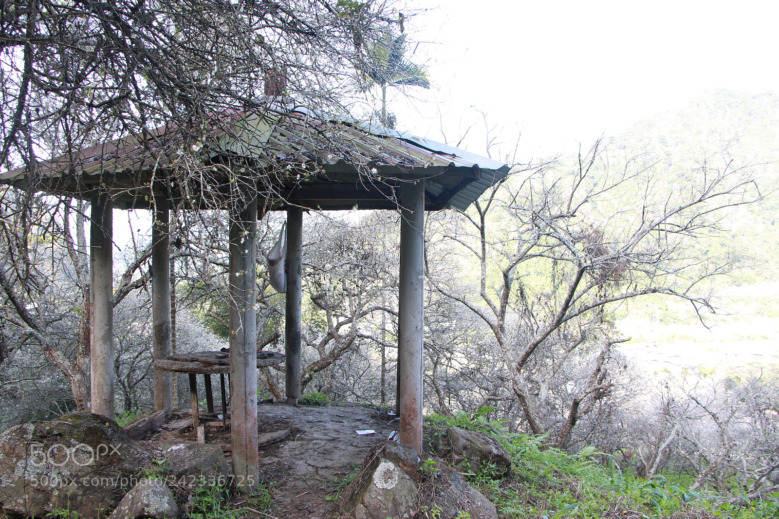Canon EOS 650D (EOS Rebel T4i / EOS Kiss X6i) sample photo. Img photography