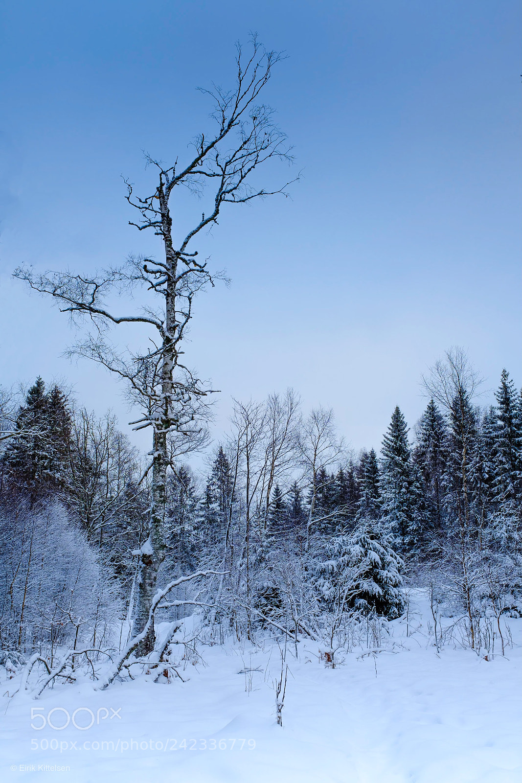 Fujifilm X100F sample photo. Winter calm photography
