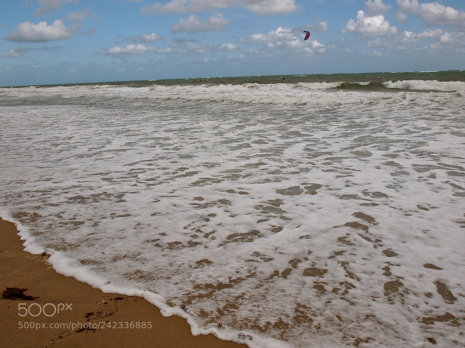 Olympus E-5 sample photo. Ft lauderdale photography