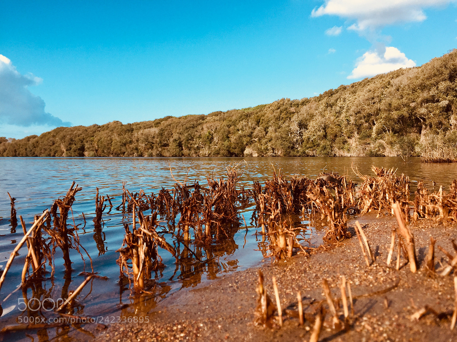 Apple iPhone 6 sample photo. Lago san paolo photography