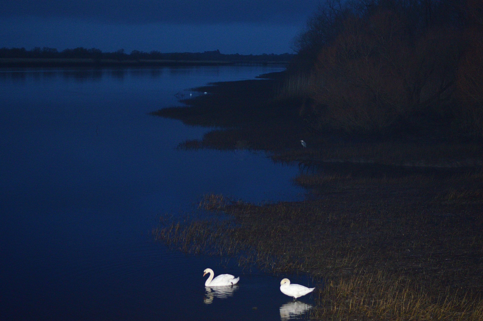 Nikon D3200 + Nikon AF-S Nikkor 50mm F1.8G sample photo. Out of the darkness photography