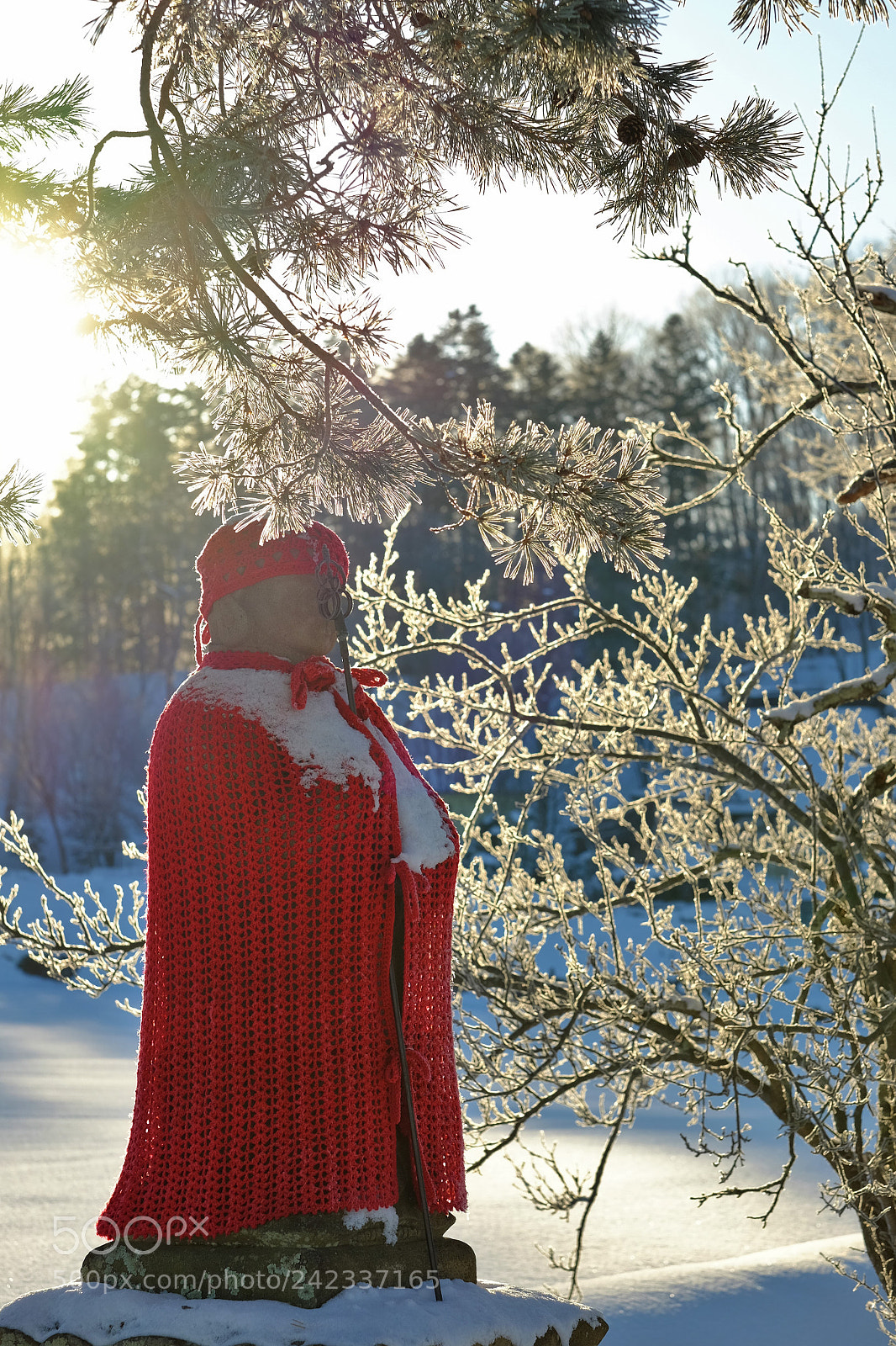 Fujifilm X-T10 sample photo. Endured the cold photography