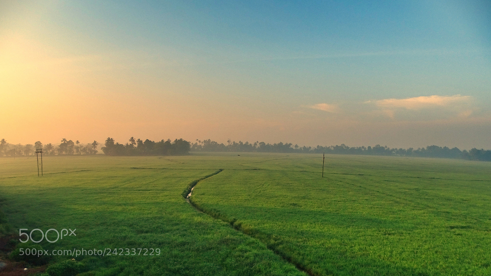 Sony Cyber-shot DSC-HX400V sample photo. Paddy fields of kerala... photography