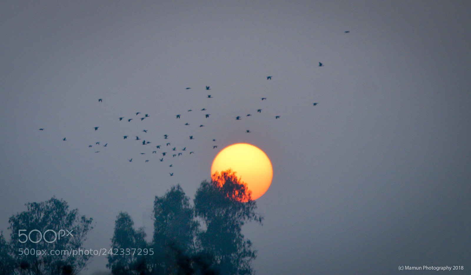Nikon D3200 sample photo. Sunset 2018 photography