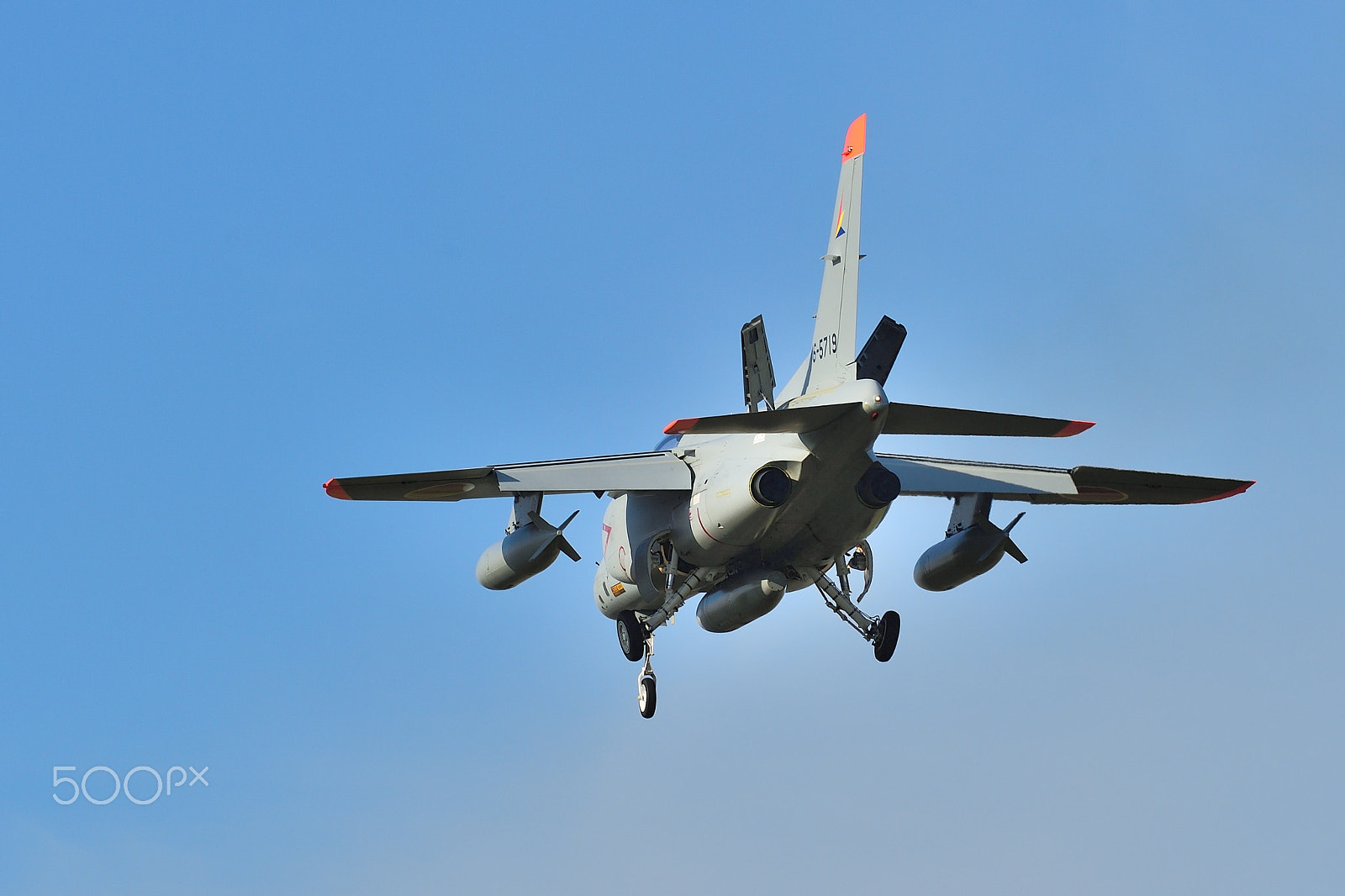Nikon AF-S Nikkor 200-500mm F5.6E ED VR sample photo. T-4 landing photography