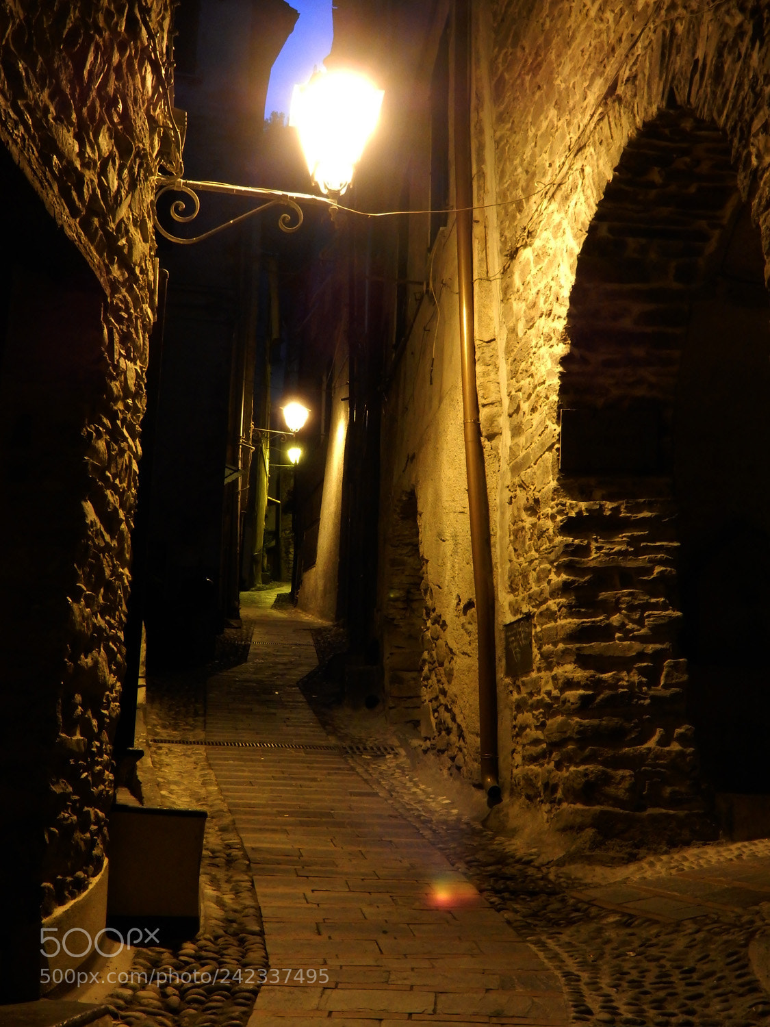 Nikon Coolpix S9900 sample photo. Mediaeval village photography