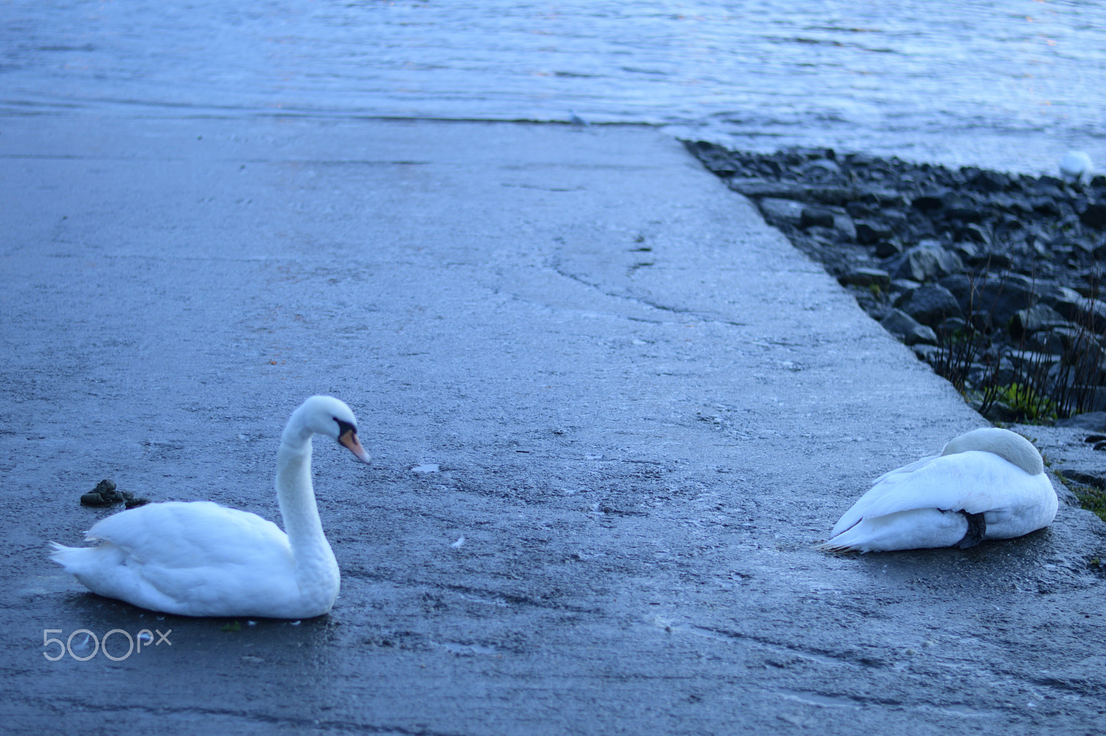 Nikon D3200 + Nikon AF-S Nikkor 50mm F1.8G sample photo. Can you move. photography