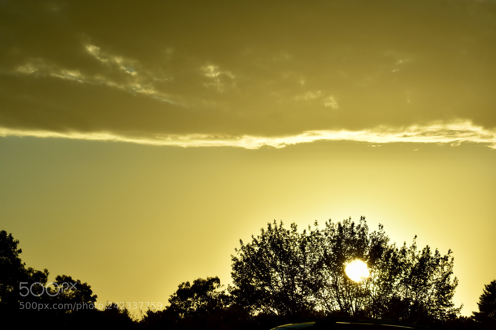 Nikon D3400 sample photo. Beautiful new england sunset photography
