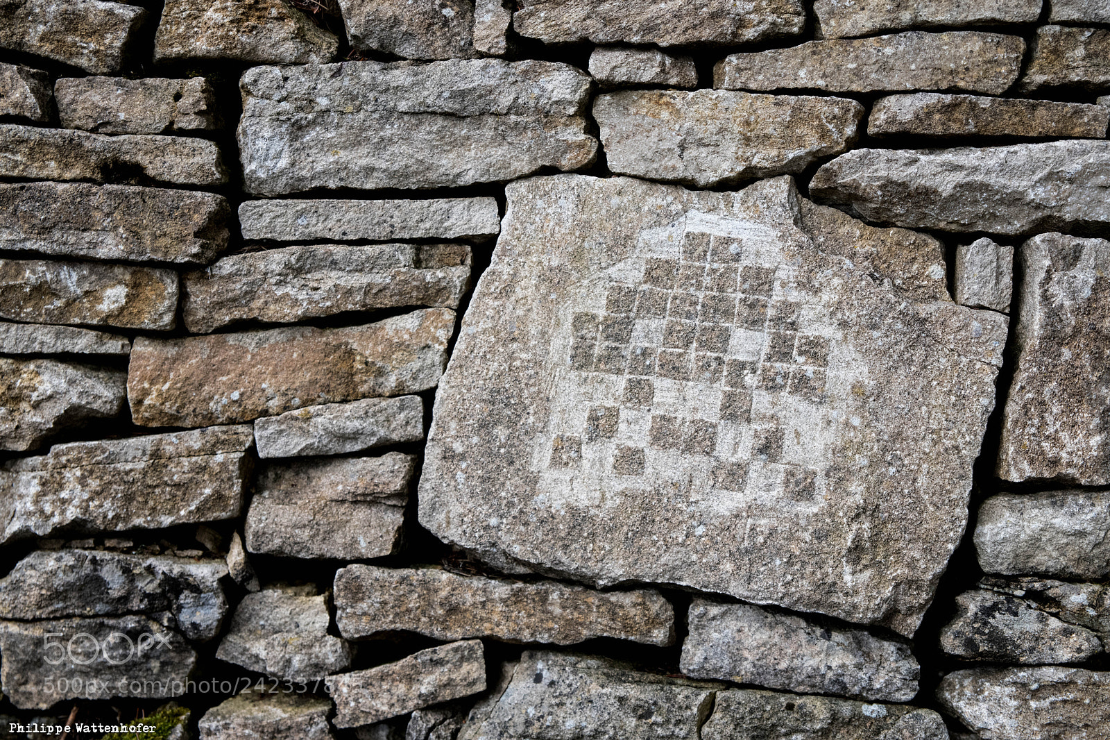 Nikon D850 sample photo. Pwr_0506-2.jpg photography