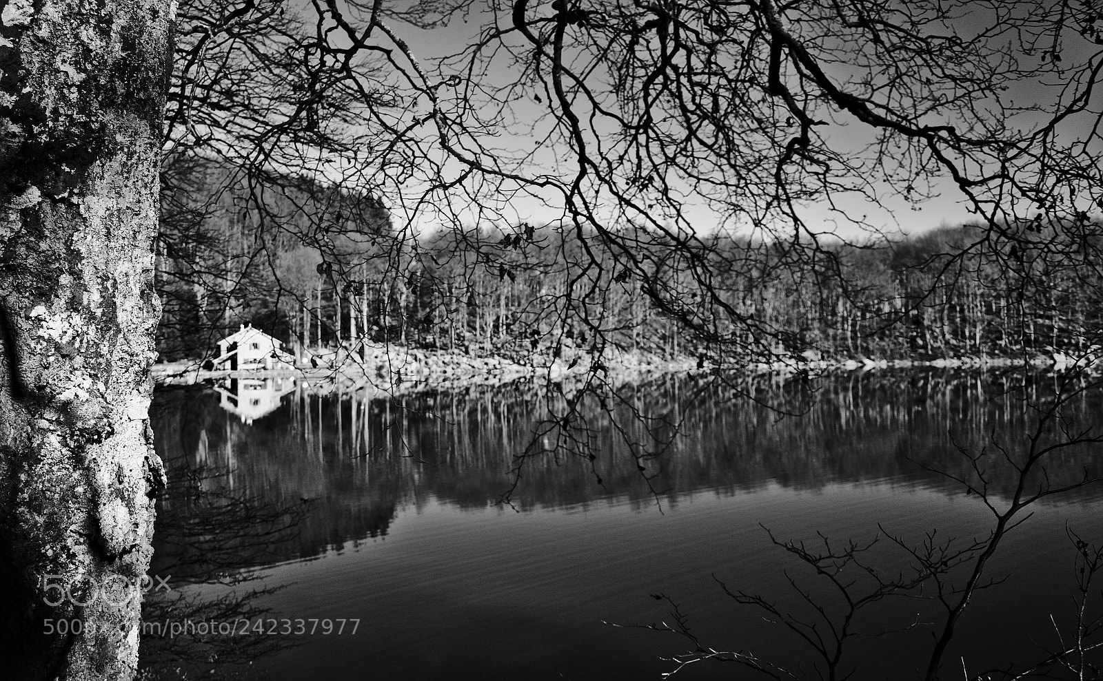 Nikon D7200 sample photo. The lake photography