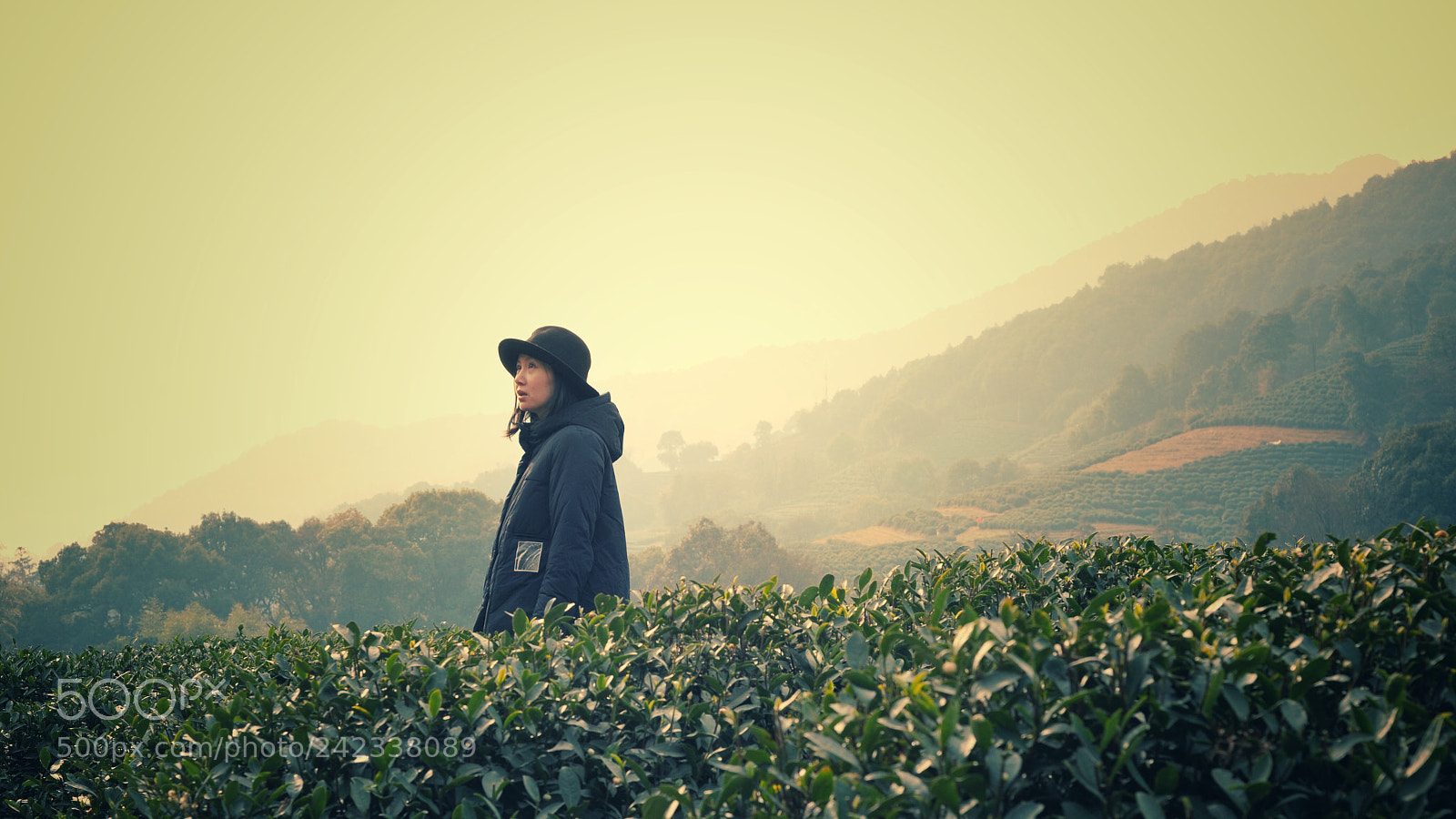 Nikon D700 sample photo. A girl under the photography