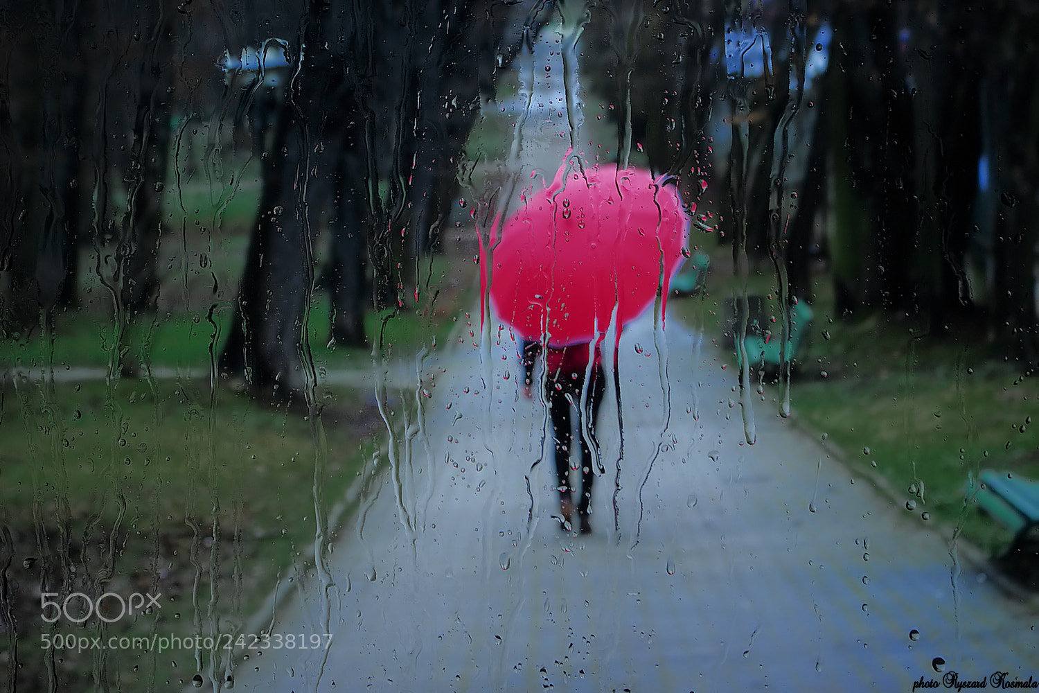 Sony Alpha DSLR-A300 sample photo. Red umbrella photography