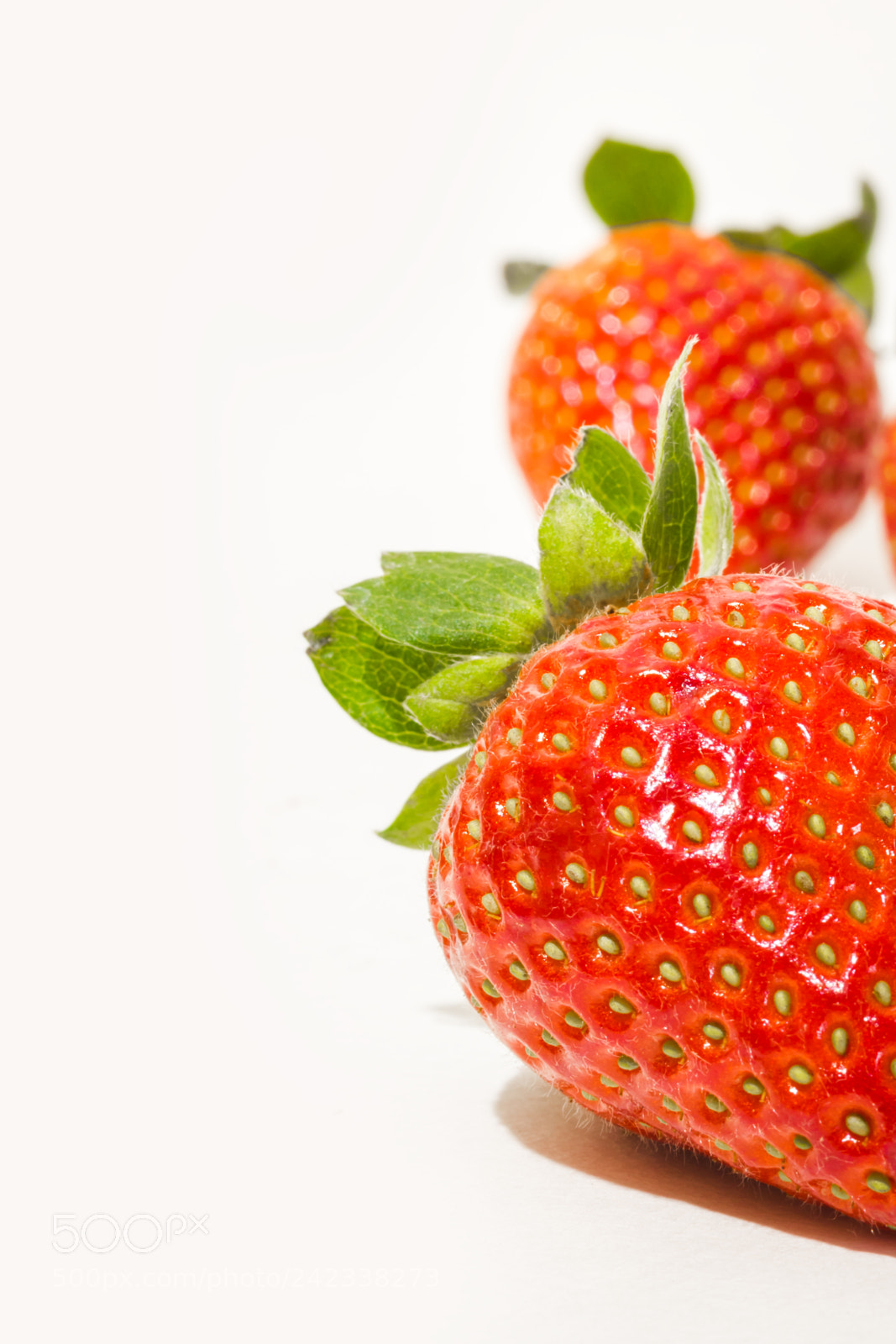 Canon EOS 550D (EOS Rebel T2i / EOS Kiss X4) sample photo. Strawberry photography