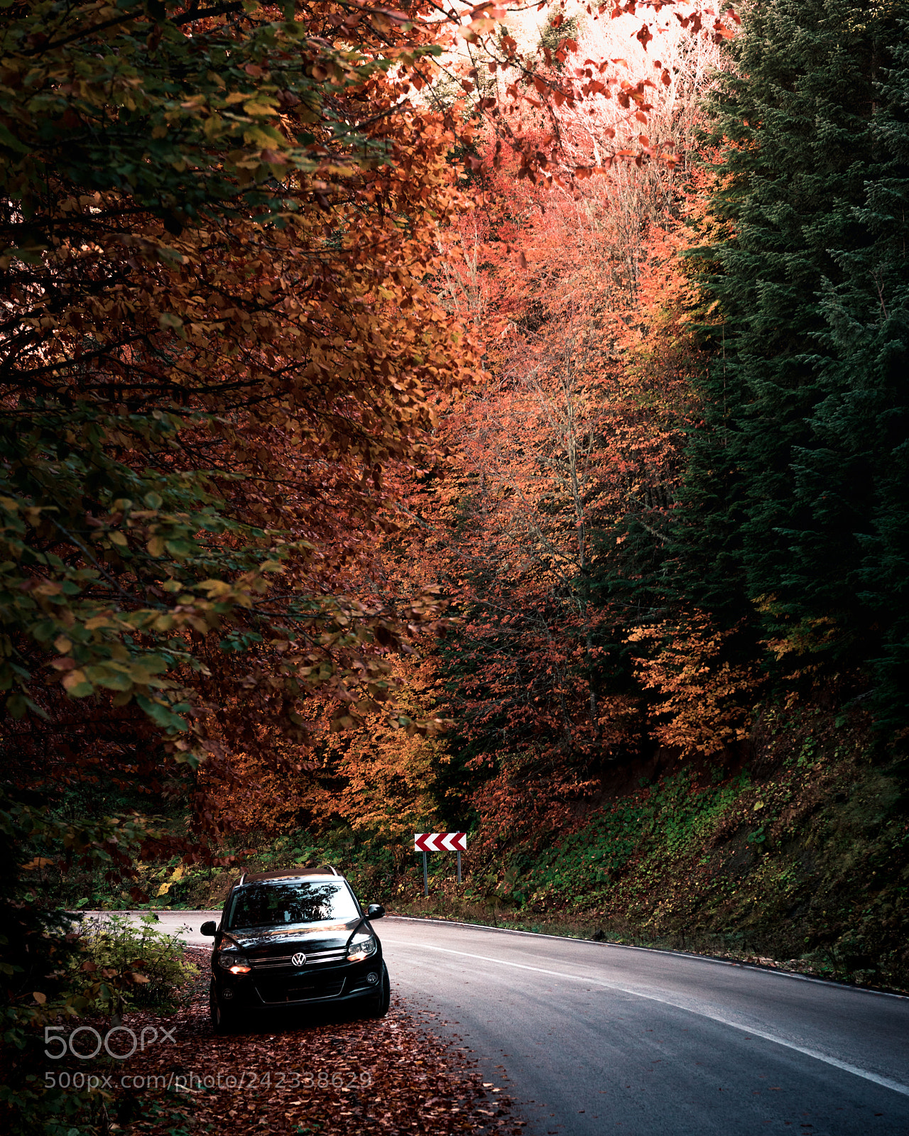 Nikon D810 sample photo. Bolu, turkey photography