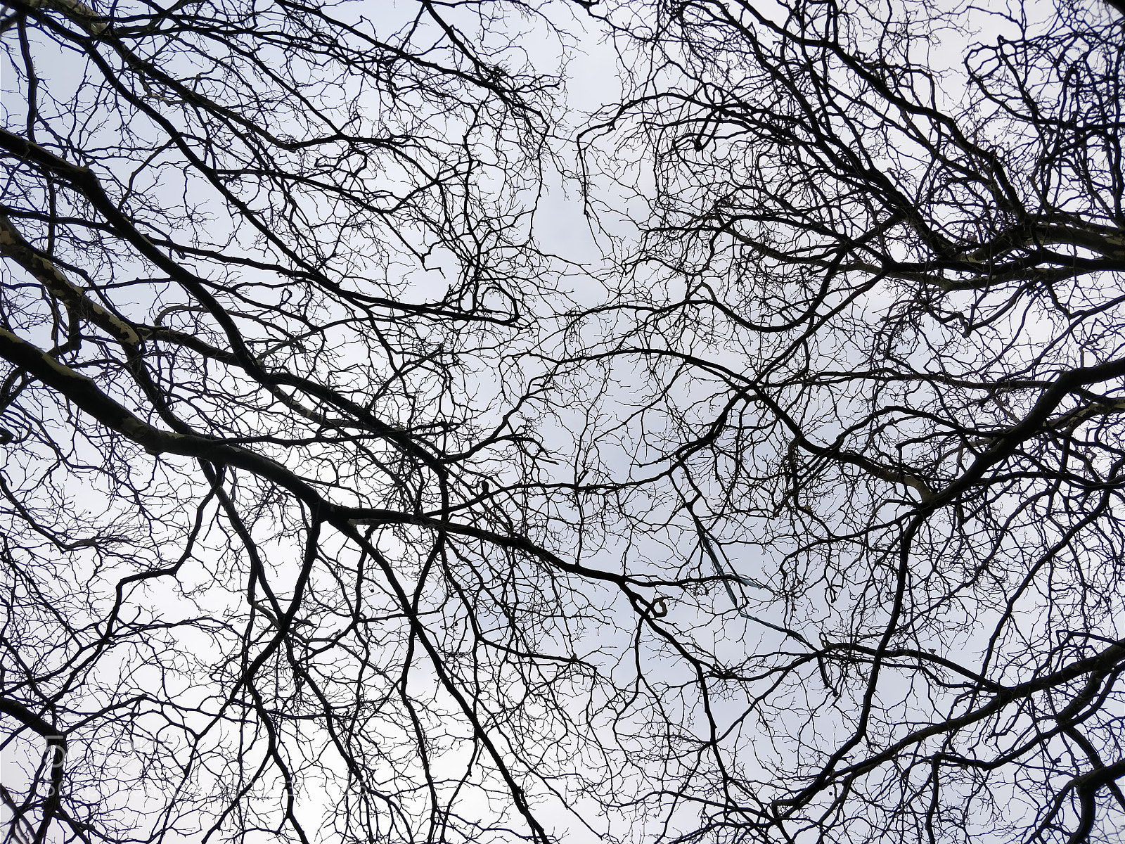 OnePlus 5T sample photo. Untitled photography