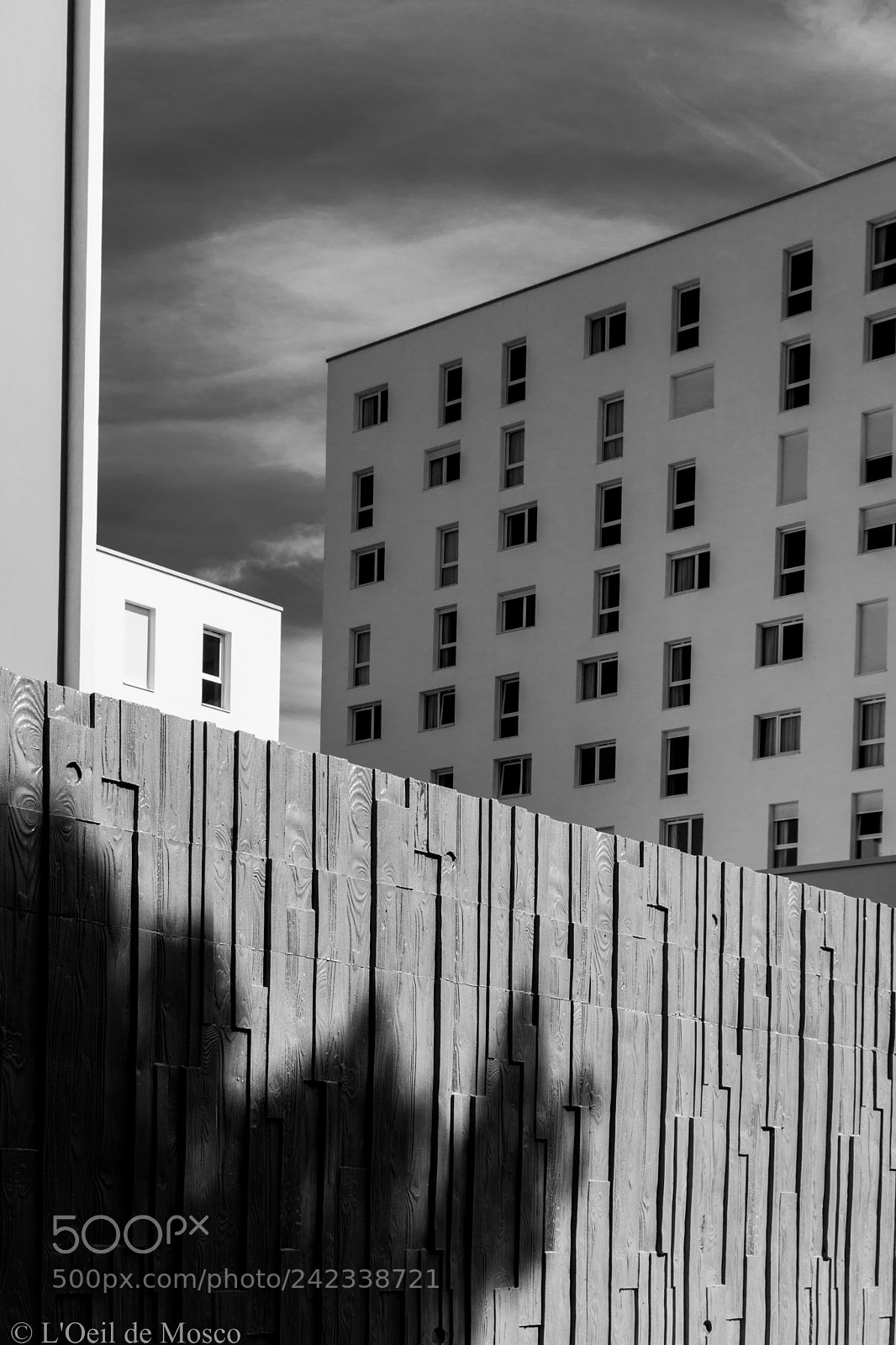 Nikon D7100 sample photo. The shadow of the photography