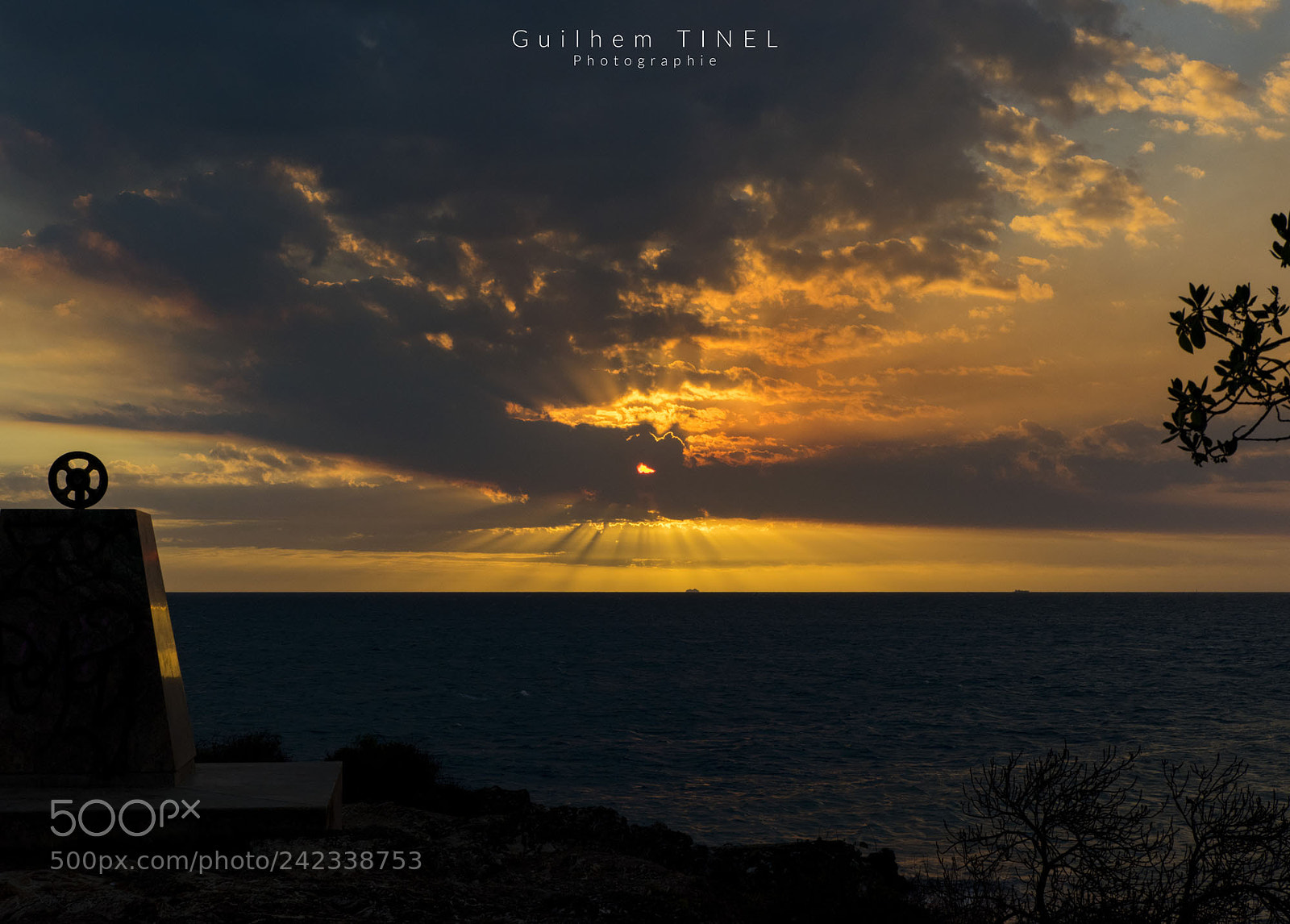 Nikon D810 sample photo. Sun rays photography