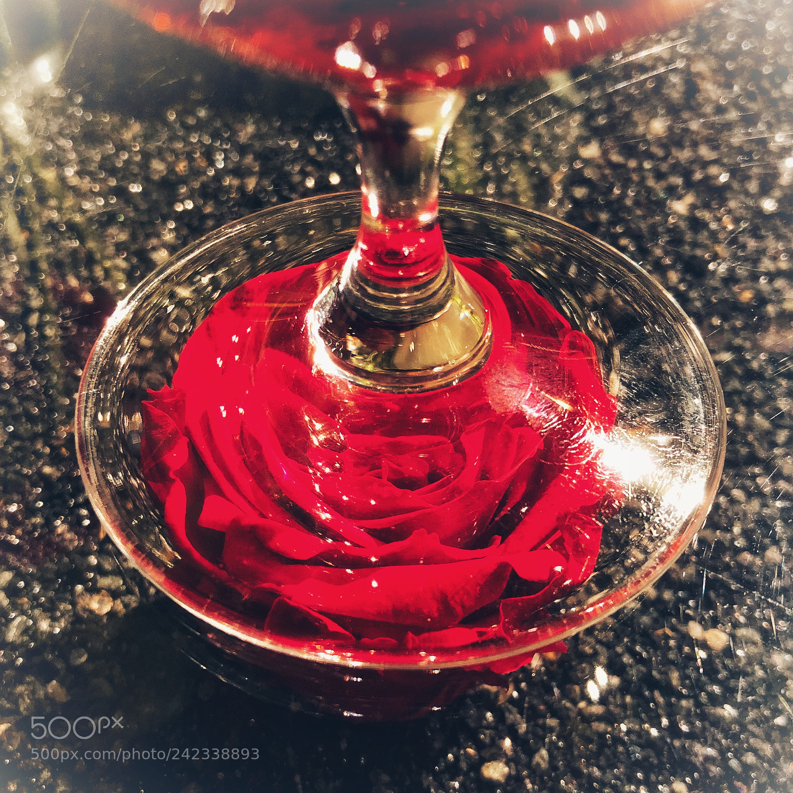 Apple iPhone X sample photo. Untitled photography