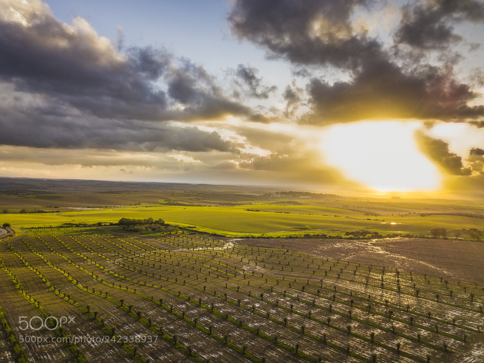 DJI FC220 sample photo. Sunset photography