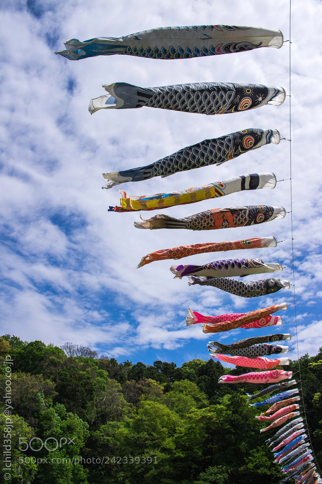 Canon EOS 760D (EOS Rebel T6s / EOS 8000D) sample photo. Koinobori photography